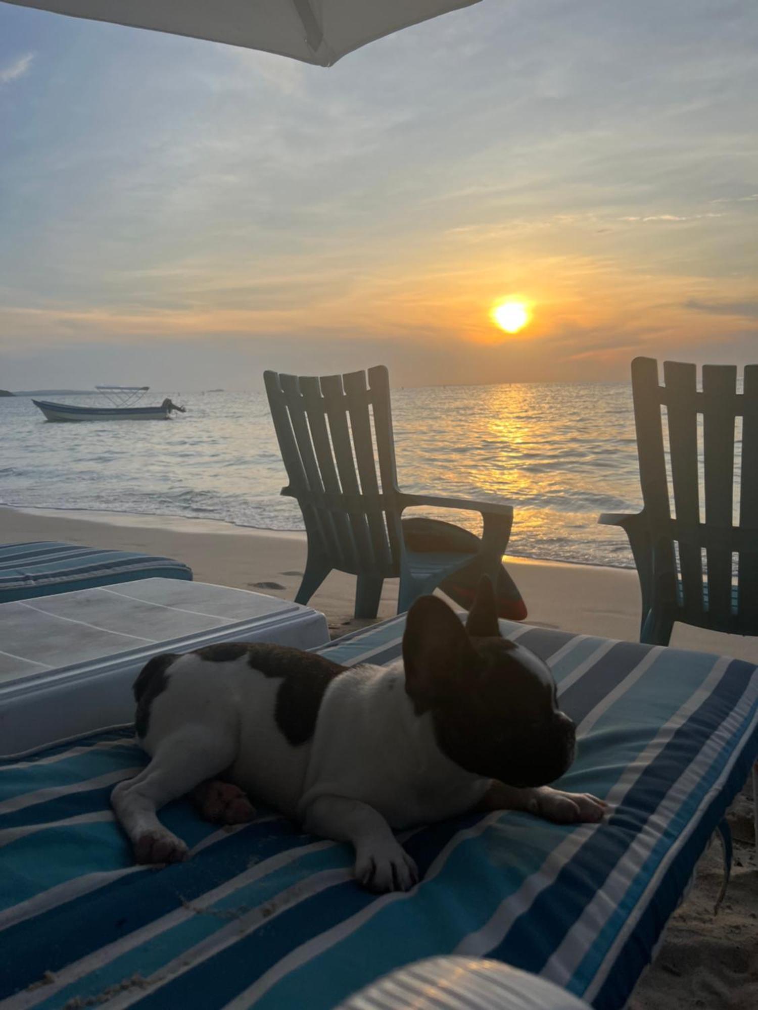 Tequila Sunbeach Baru Eco-Hotel Pendales Ngoại thất bức ảnh